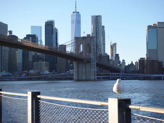 NYC_2024-02-03 16-24-35_RX_07066